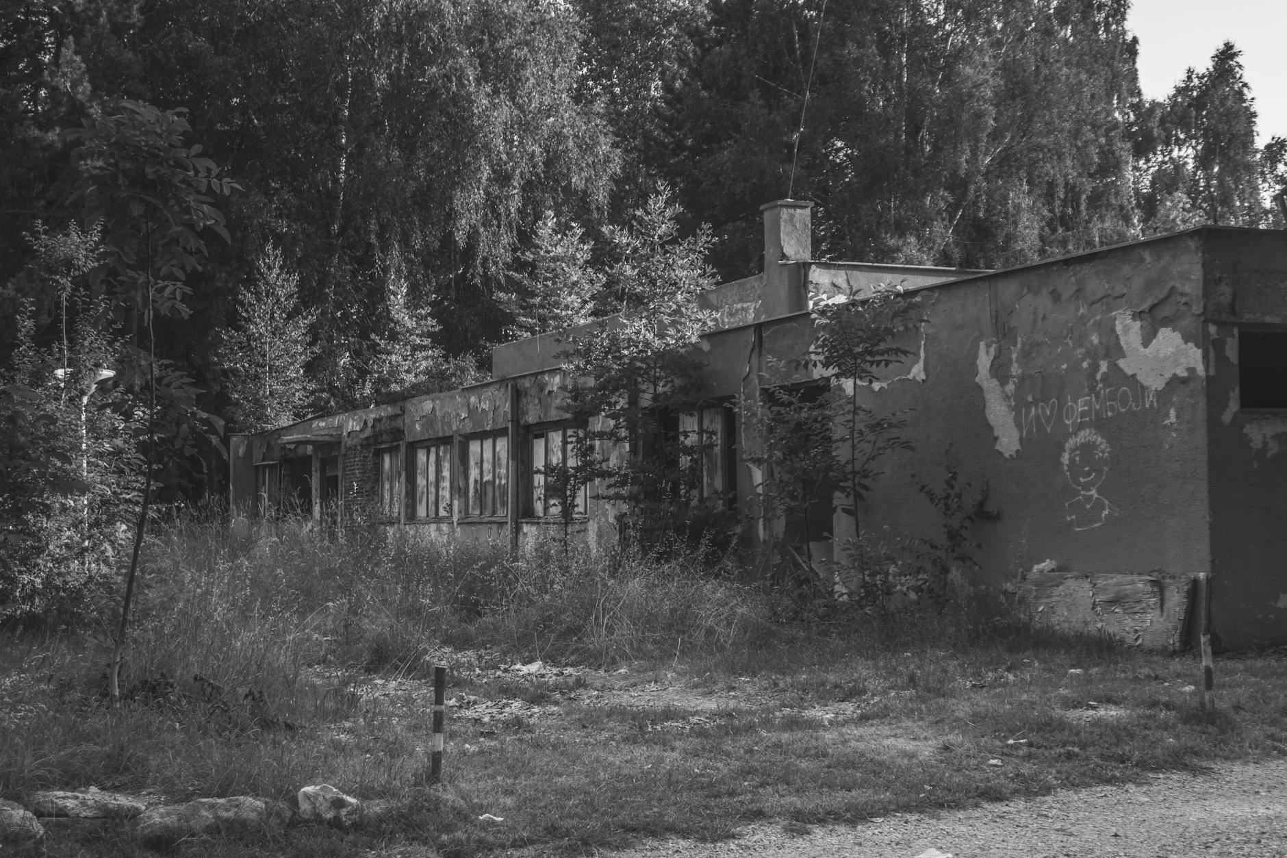 Zielone Świątki w Oławie: Tradycja, natura i miejskie świętowanie